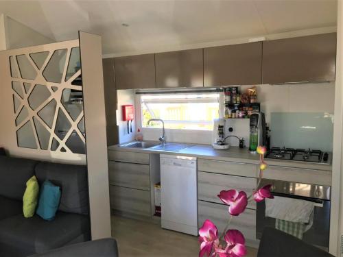 Mobil home grand confort MH 452 proche Zoo de Beauval