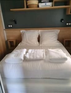 Mobil home luxe, les sables du midi