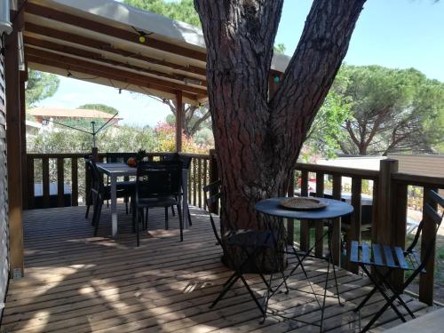 MOBIL-HOME r02 LES CIGALES