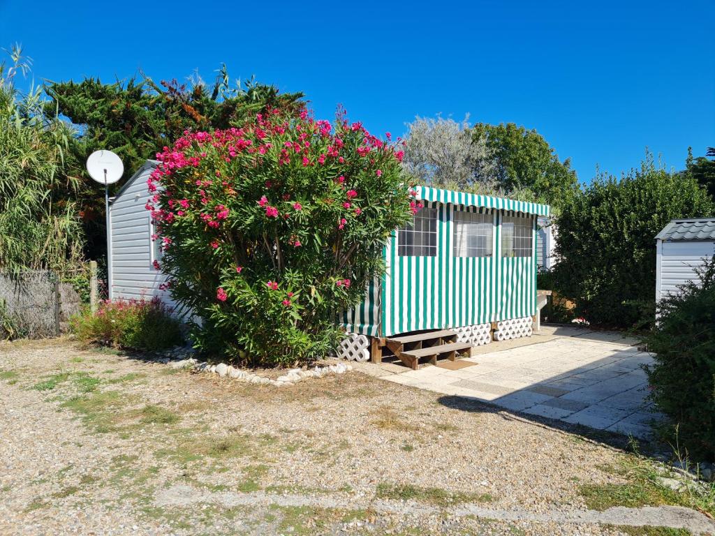 Mobil home sur camping 4 étoiles CAP SOLEIL St Denis d'Oléron 150 Boulevard de l'Océan, 17650 La Bétaudière