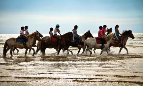 Mobile home haut de gamme aux Dunes de Contis