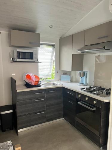 Mobilhome 8 personnes camping « La Carabasse »