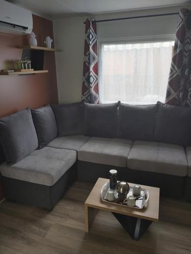 Mobilhome de Virginie, 6 personnes à Contis