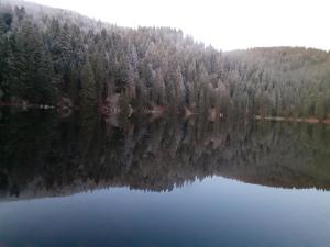 MUNSTER camping de la FECHT