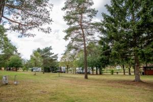 Camping Naturcamping Lüneburger Heide - Chalets & Tiny Häuser 25 An der Bundesstraße 29614 Soltau Basse-Saxe