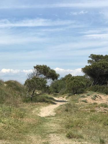 Oh! Campings - La Tamarissière Agde