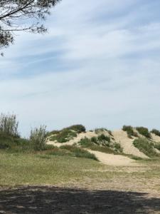 Oh! Campings - La Tamarissière Agde