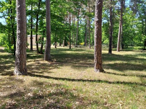 Camping Camping ONLYCAMP LES PINS 82 Route de Salbris Nançay