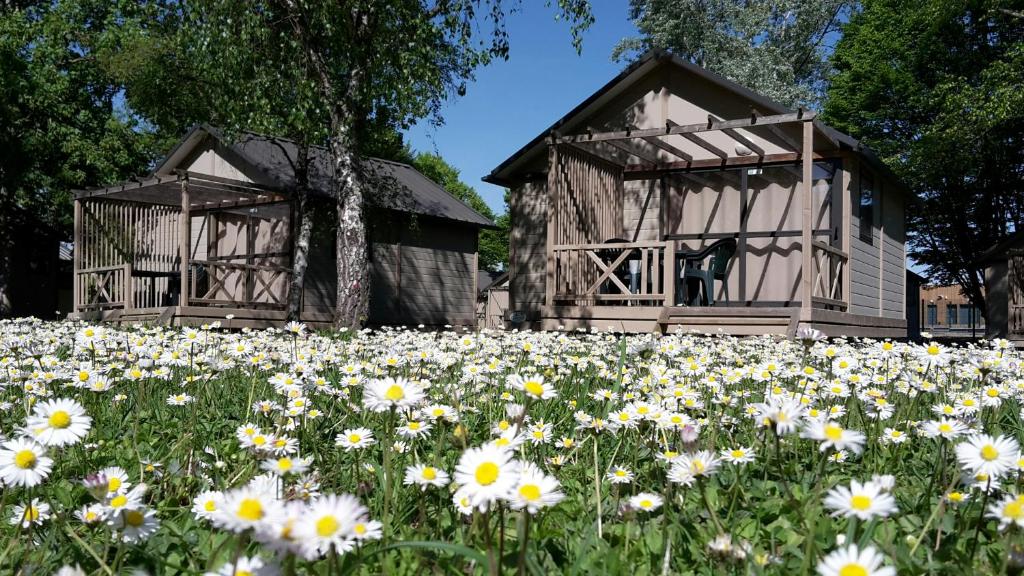 Camping Onlycamp Tours Val de Loire 61 Rue de Rochepinard 37550 Saint-Avertin