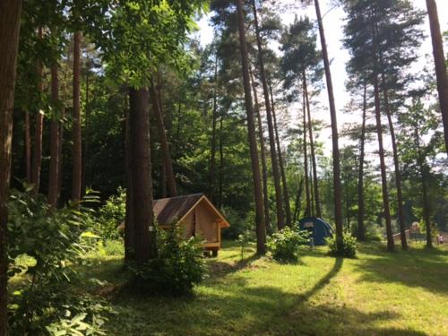 Camping Camping Osenbach 31 rue du Stade Osenbach