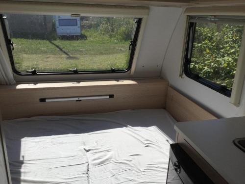 Ostlicht Camper im Wäldchen