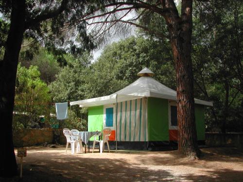 Camping Camping Paduella Avenue de la République Calvi