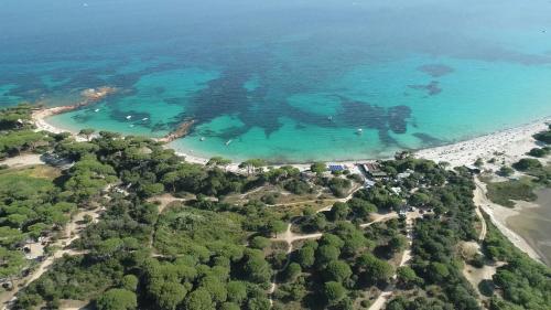 Palombaggia location i pini