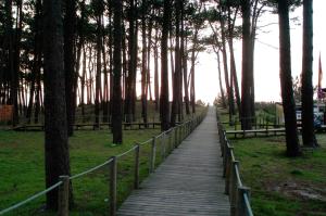 Parque de Campismo Orbitur Caminha