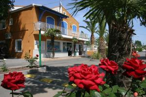 Camping Quality Holidays Mobile Home on Camping Les Salisses Avenue de la mer 34450 Vias Languedoc-Roussillon