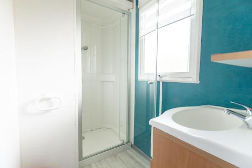 Camping Camping Royal Ocean 41 Route de Royan Saint-Sulpice-de-Royan