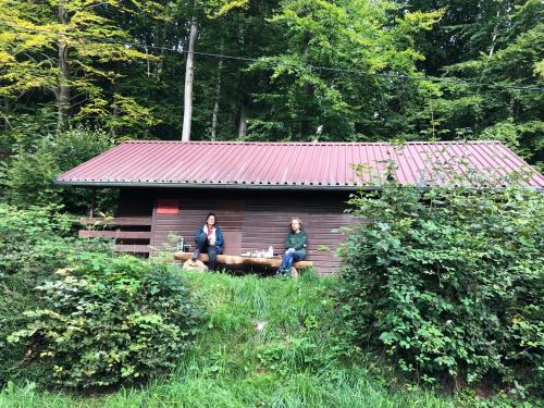 Schwedische Sommer Hütte unter Buchen