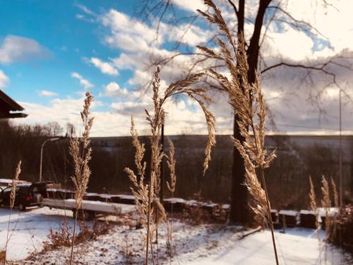 Schwedische Winter Hütte unter Buchen