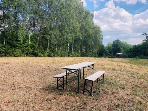 Schwedischer Shelter unter Buchen