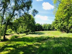 Schwedischer Shelter unter Buchen