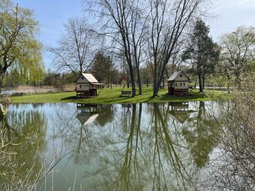tente bivouac