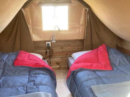 tente bivouac