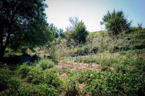Tente en permaculture pirate
