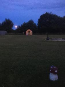 The country shack pod
