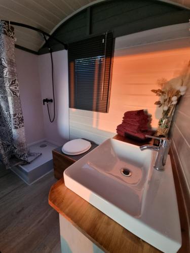 Camping Tiny house avec jacuzzi love roulotte 8 Rue de la Fossé aux Fées 51120 La Forestière Champagne-Ardenne