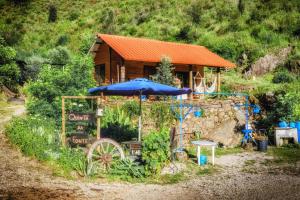 Unique Tiny House with Natural Building Techniques