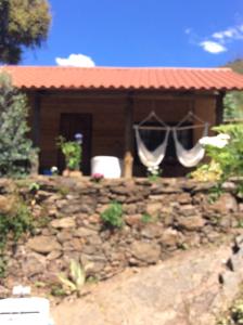 Unique Tiny House with Natural Building Techniques
