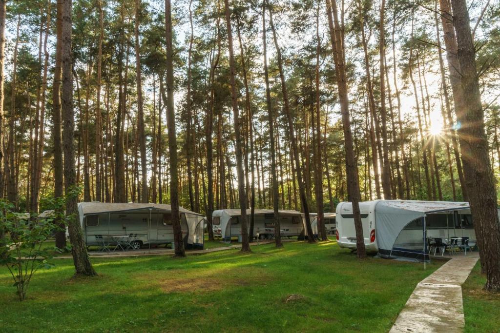 Camping Urlaub im Wohnwagen mitten im Wald Zeltplatzstraße 20A 17440 Lütow