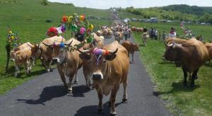 VOS VACANCES EN PAYS D' AUBRAC La Boissière