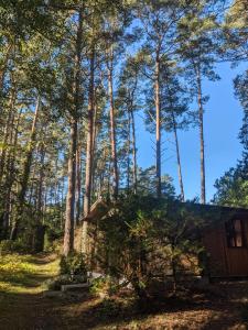 Camping Waldhäuschen an der Ostsee Am Waldwinkel 1 17509 Lubmin Mecklembourg-Poméranie