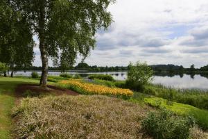 Wellnester Tiny Houses by the lake in Losheim am See