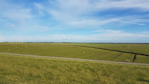 Wohnmobilstellplatz Hemenswarft an der Nordsee - Meerblick