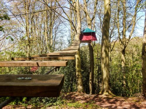 Woody Park