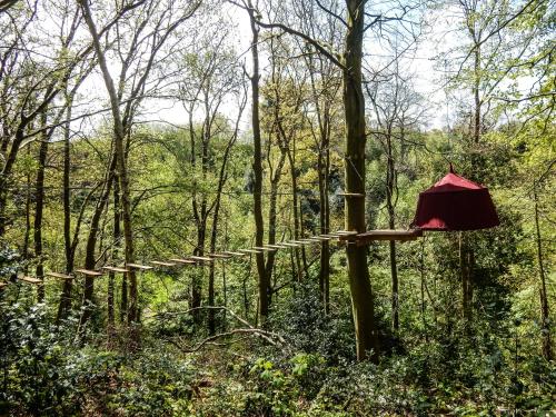 Woody Park