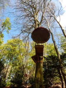Woody Park