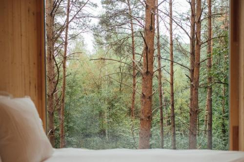 Youza ecolodge