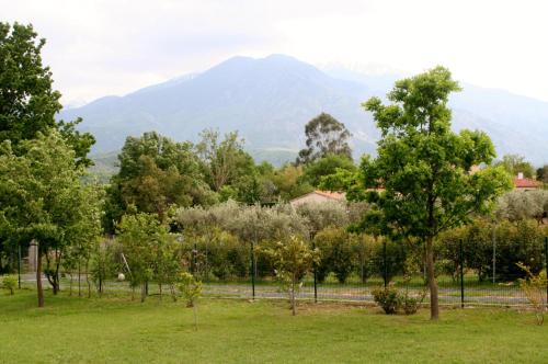 Canigou, gîtes LEFEBVRE, 4* climatisé, table d'hôte Los Masos france