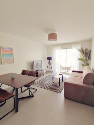 Cannes un spacieux appartement Cannes france