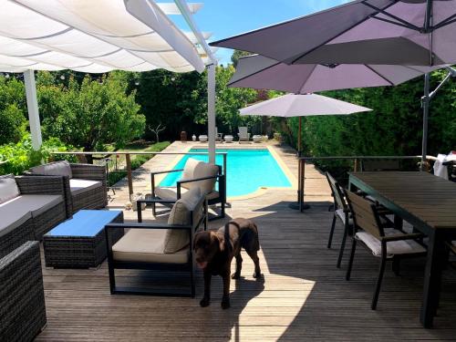 Cannes Villa swimming pool, garden, free car park and calm Le Cannet france