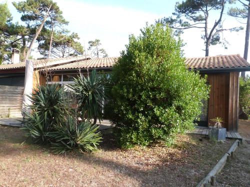 Villa Cap ferret Villa Bois ref 6 rue des lilas, 3 Lège-Cap-Ferret