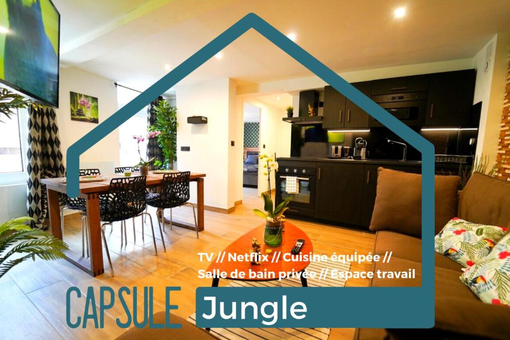 Appartement Capsule Jungle centre ville appartement 3 4 Rue des Godets, 59300 Valenciennes