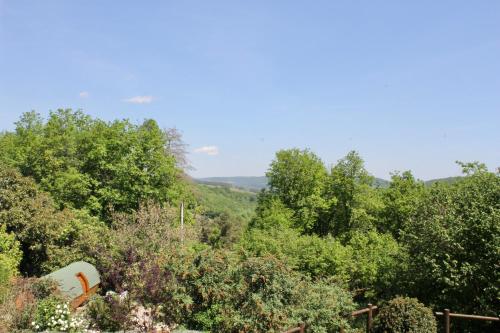 Maison d'hôtes Carre Saint Pierre & Restaurant lieu dit la chaume route departementale 8 Marey-lès-Fussey