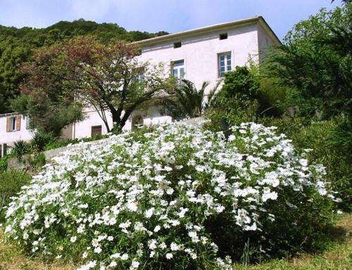 Casa A Rota Chambres d'Hôtes Ersa france