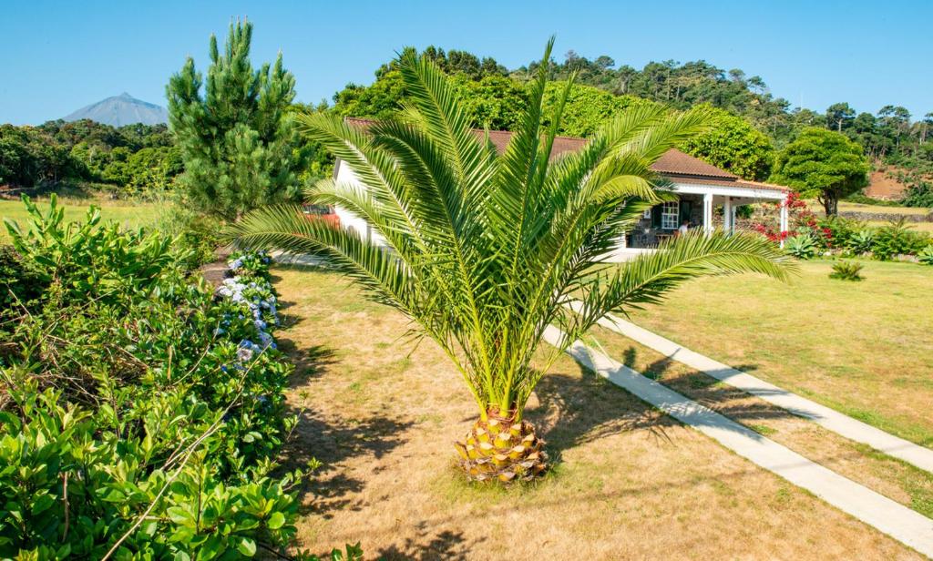 Maison de vacances Casa Amaral Estrada Regional, 79-A, Poço da Tumba, 9940-232 Santo António