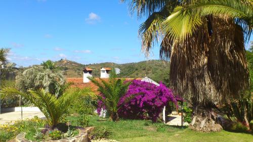 Casa Bougainvillea São Teotónio portugal