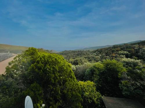 Maison de vacances CASA CATONI Hameau de Piazze Cagnano